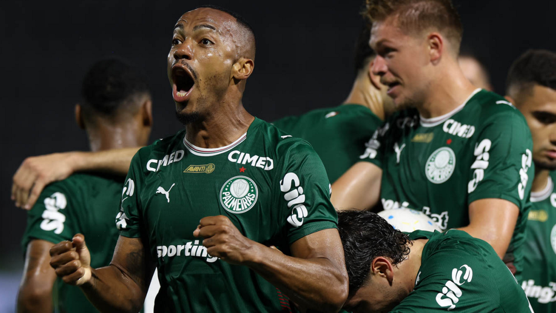 © Cesar Greco/Palmeiras/Direitos Reservados