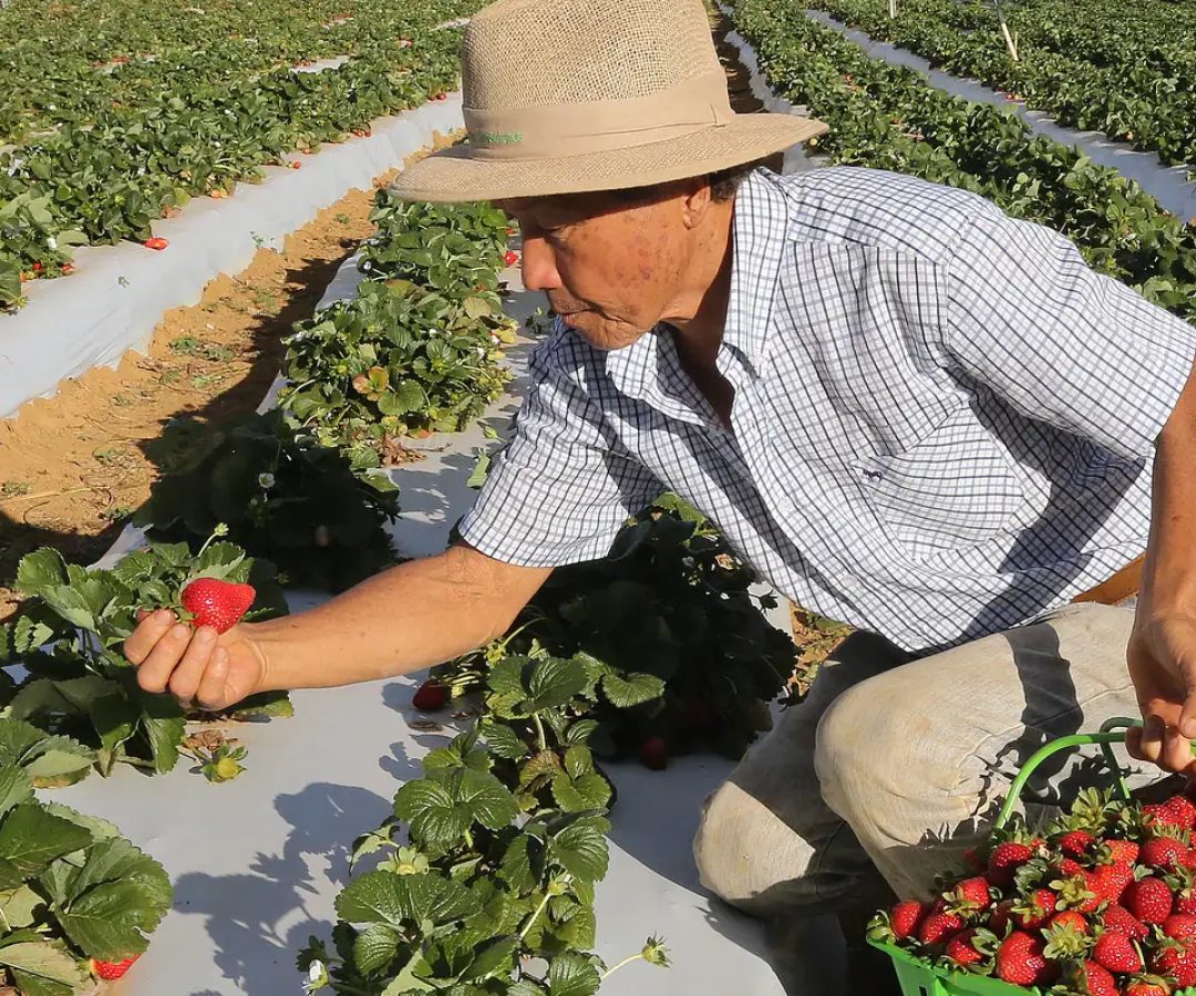 © Valter Campanato/Agência Brasil