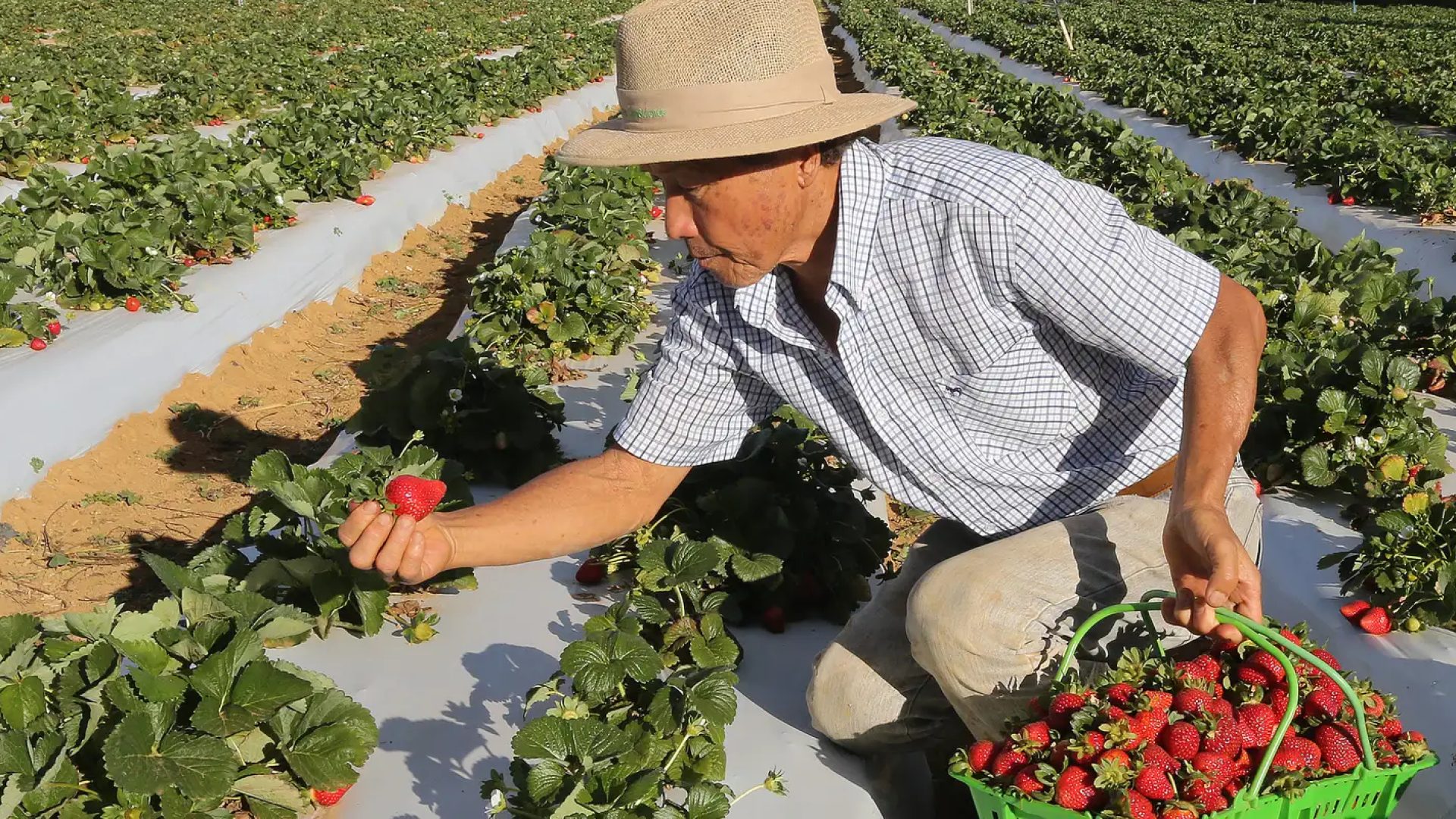 © Valter Campanato/Agência Brasil