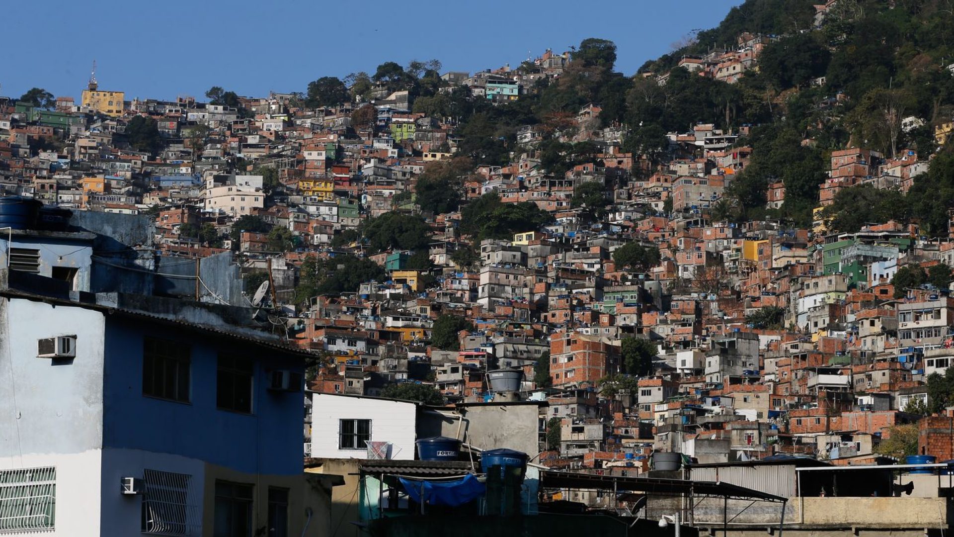 © Fernando Frazão/Agência Brasil