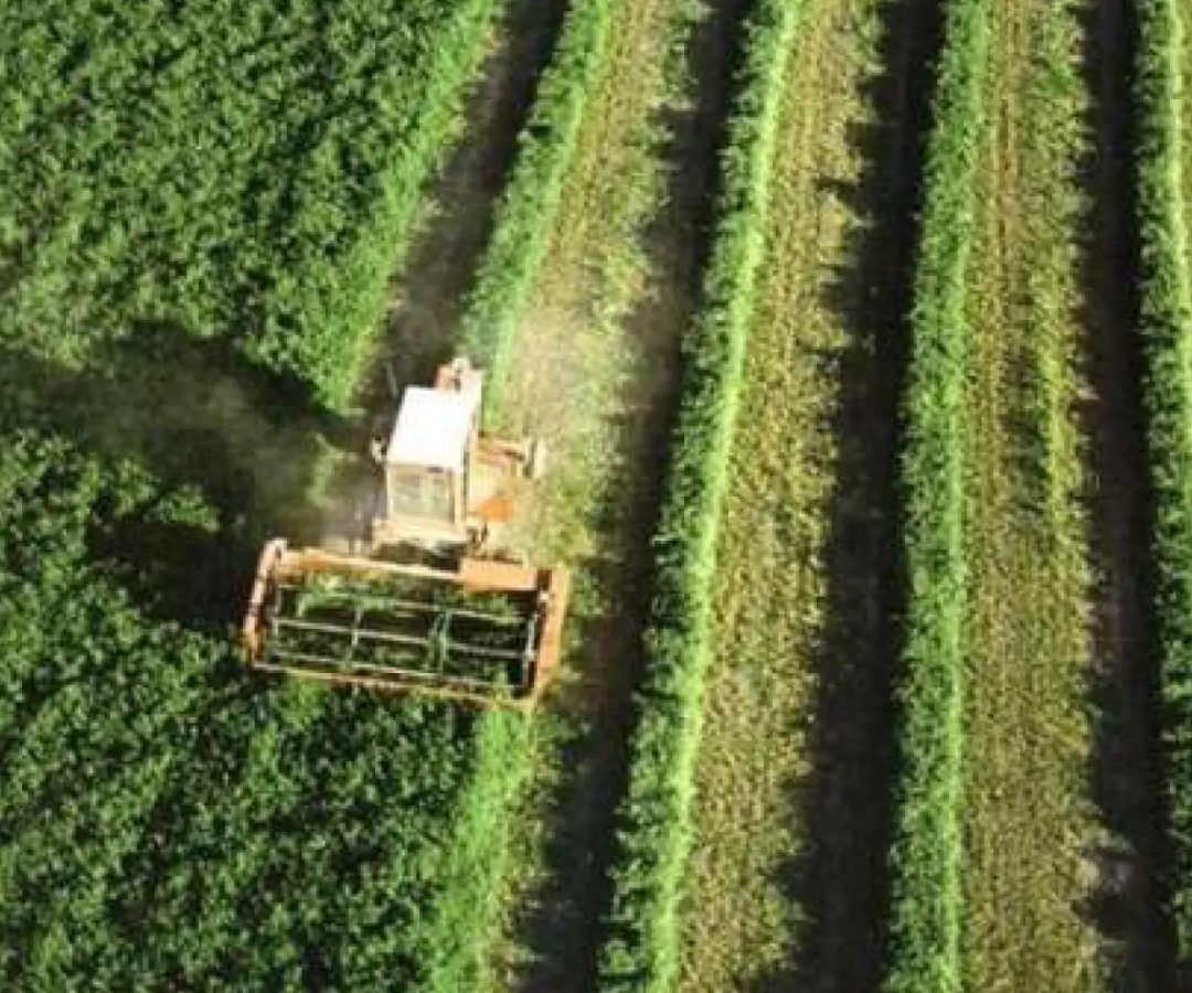 Un campo de cultivo, en una imagen de archivo.Europa Press