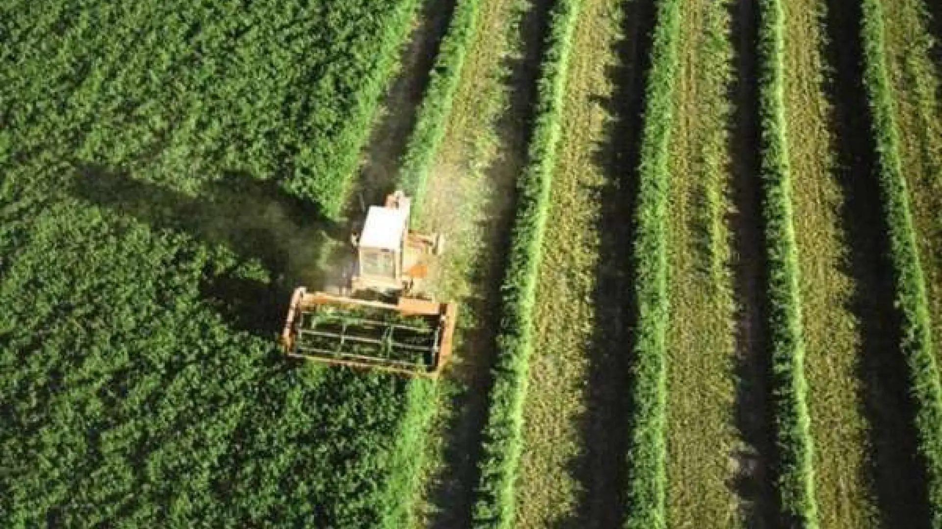 Un campo de cultivo, en una imagen de archivo.Europa Press