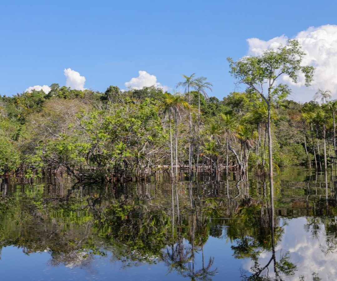 © Fabio Rodrigues-Pozzebom/Agência Brasil