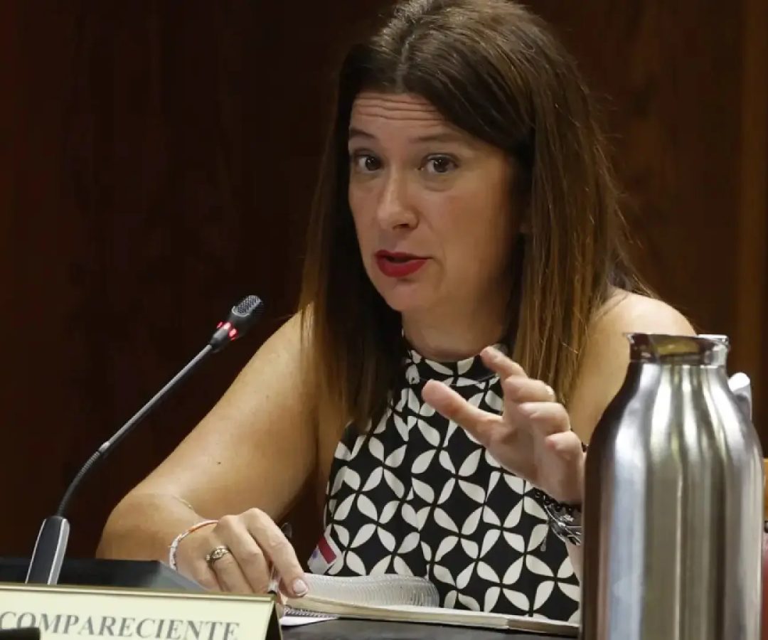 Leire Díez, durante su testimonio en el Senado.