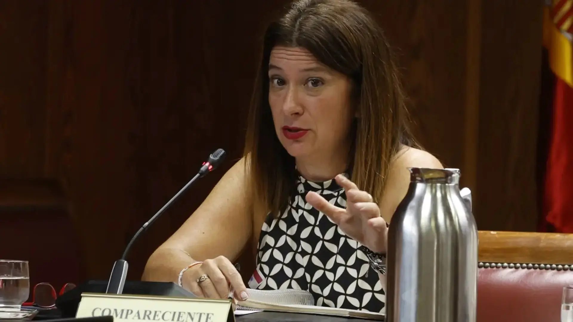 Leire Díez, durante su testimonio en el Senado.