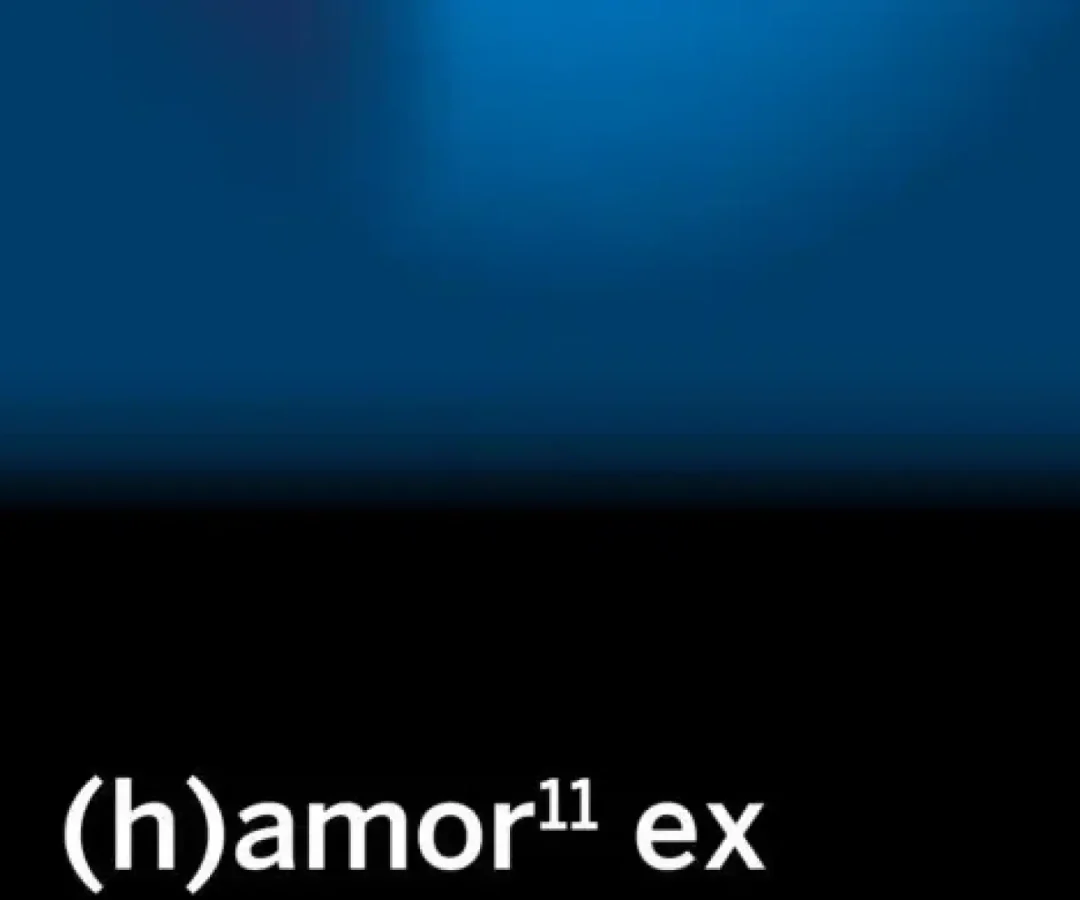 (h)amor 11 exContinta me tienes