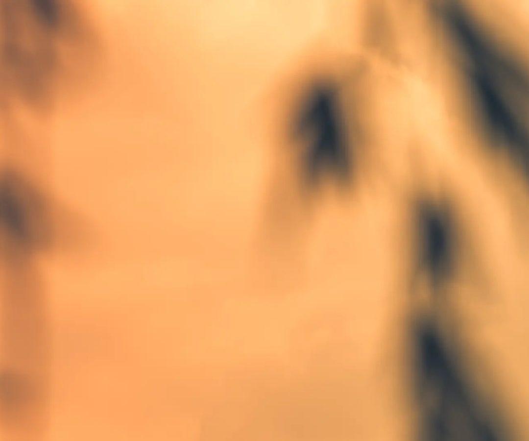 olor a cementerio de promesas1 de cada 10