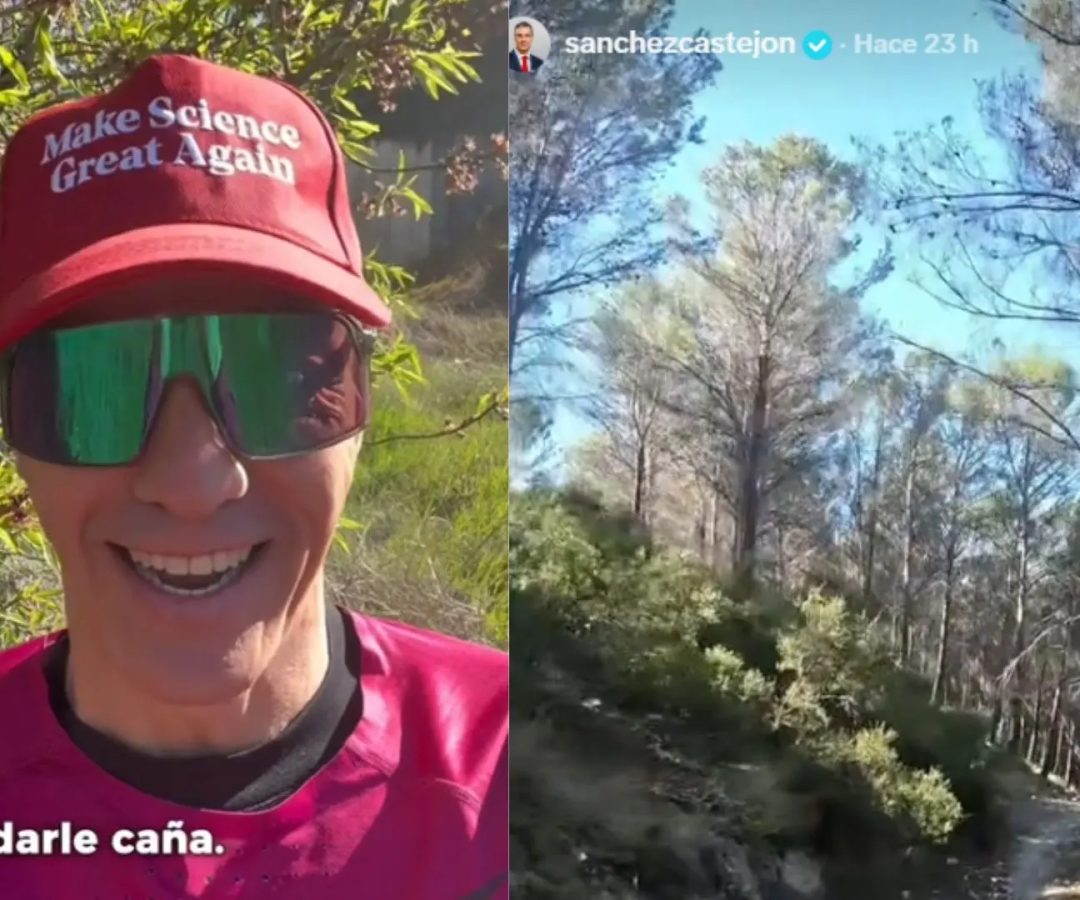 Pedro Sánchez, en su cuenta de TikTok.TikTok