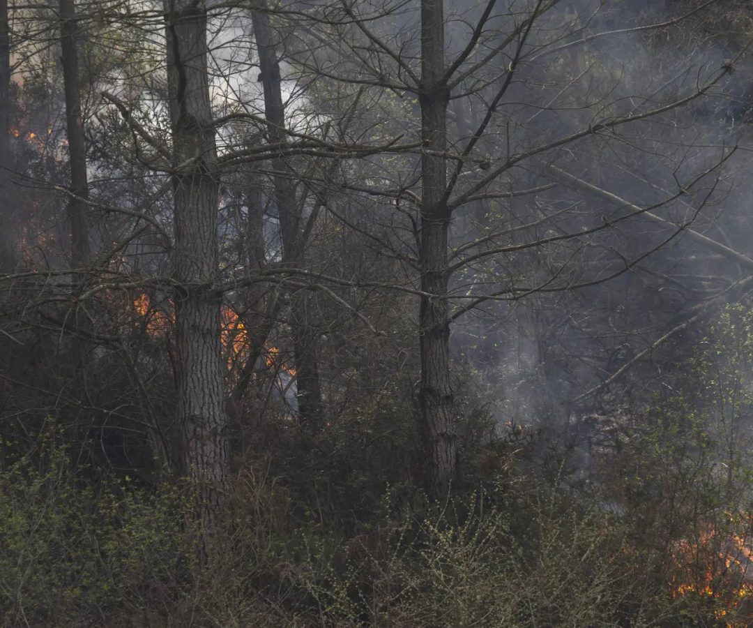 Vista de un incendio forestal este martes, en la localidad cántabra de RionansaPedro Puente Hoyos, EFE.
