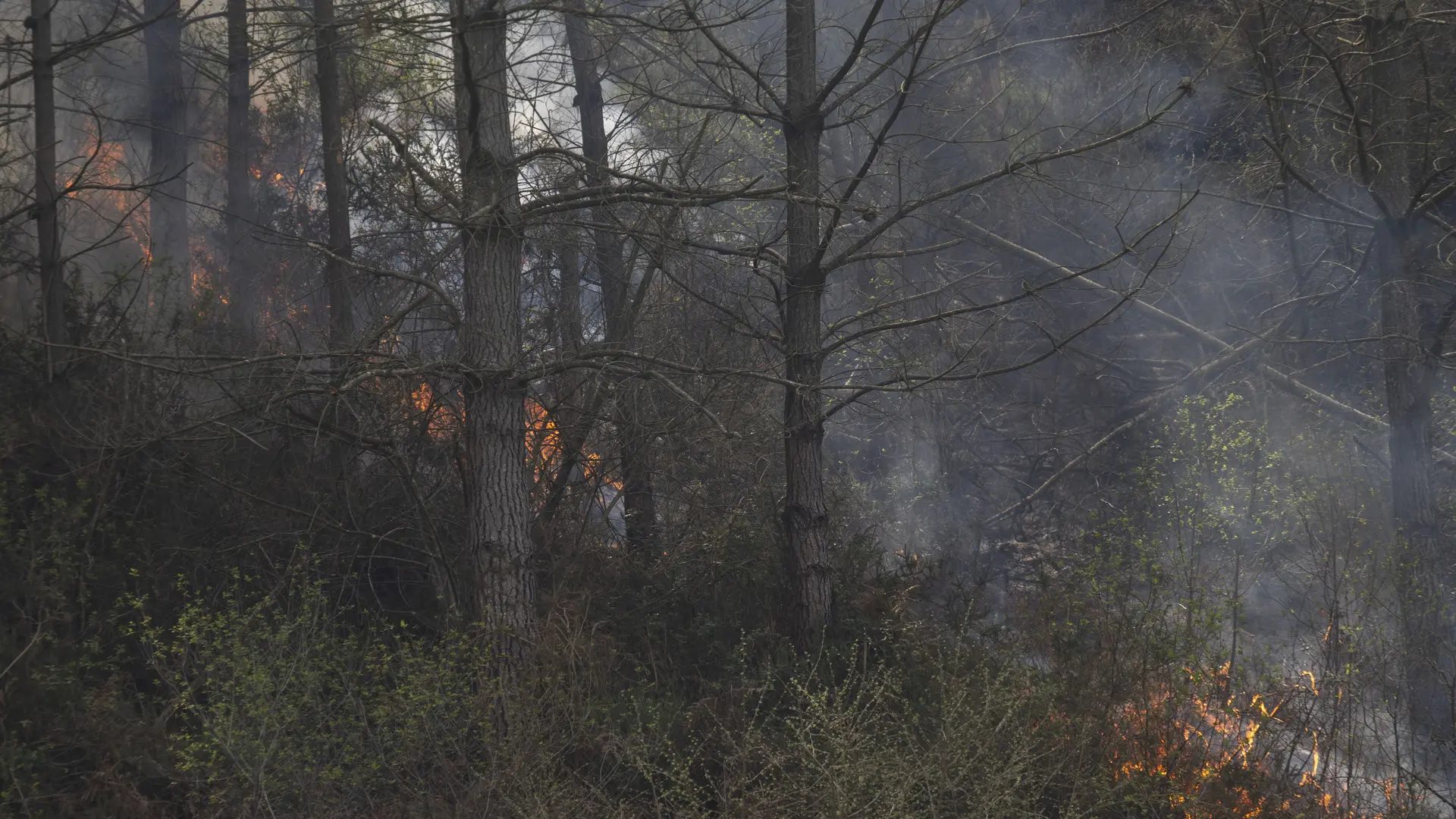 Vista de un incendio forestal este martes, en la localidad cántabra de RionansaPedro Puente Hoyos, EFE.
