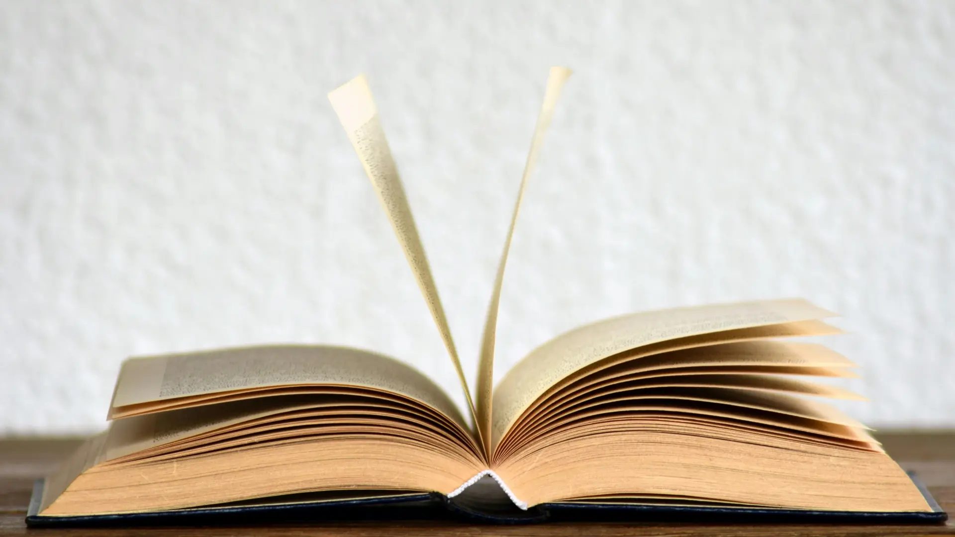 Un libro abierto con varias hojas desplegadas en el aire.Pixabay | Pexels