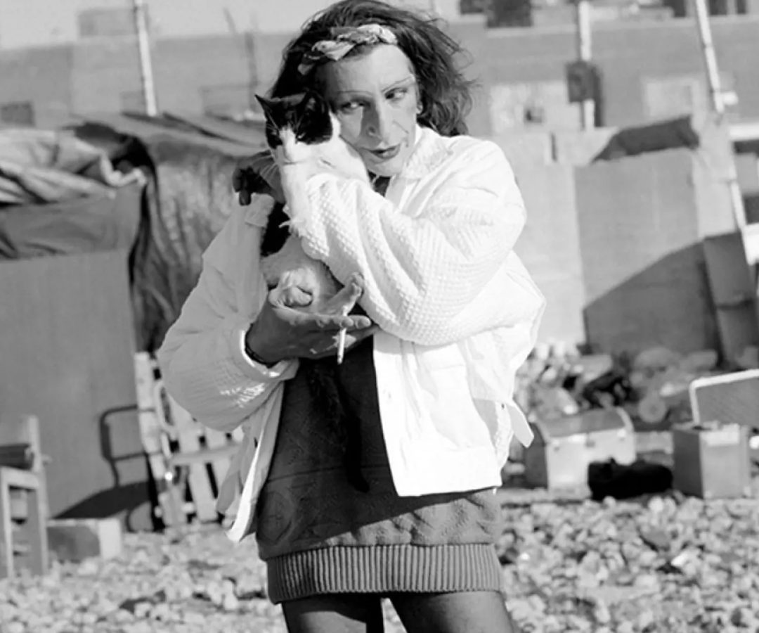 Sylvia Rivera1 de cada 10