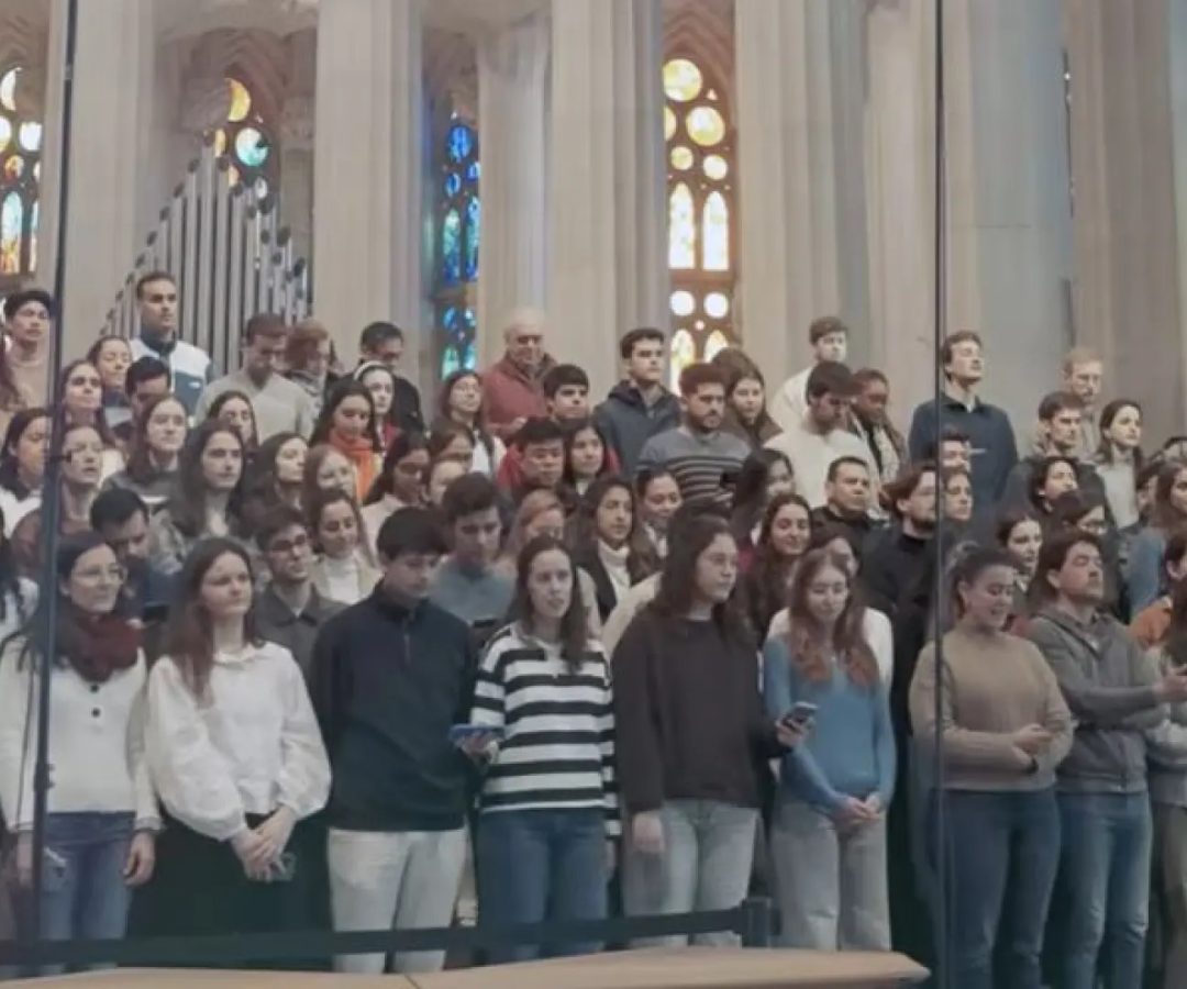 Conforme a los criterios de