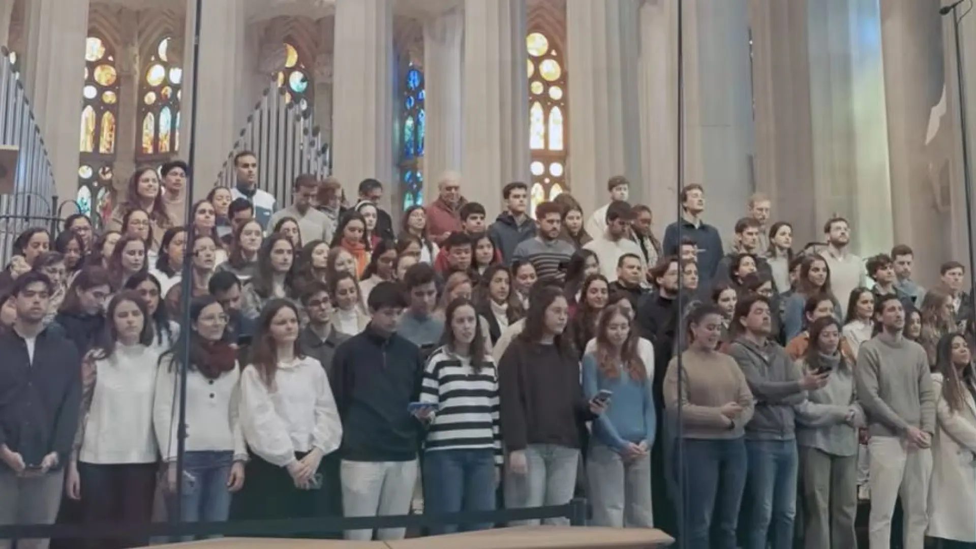 Conforme a los criterios de