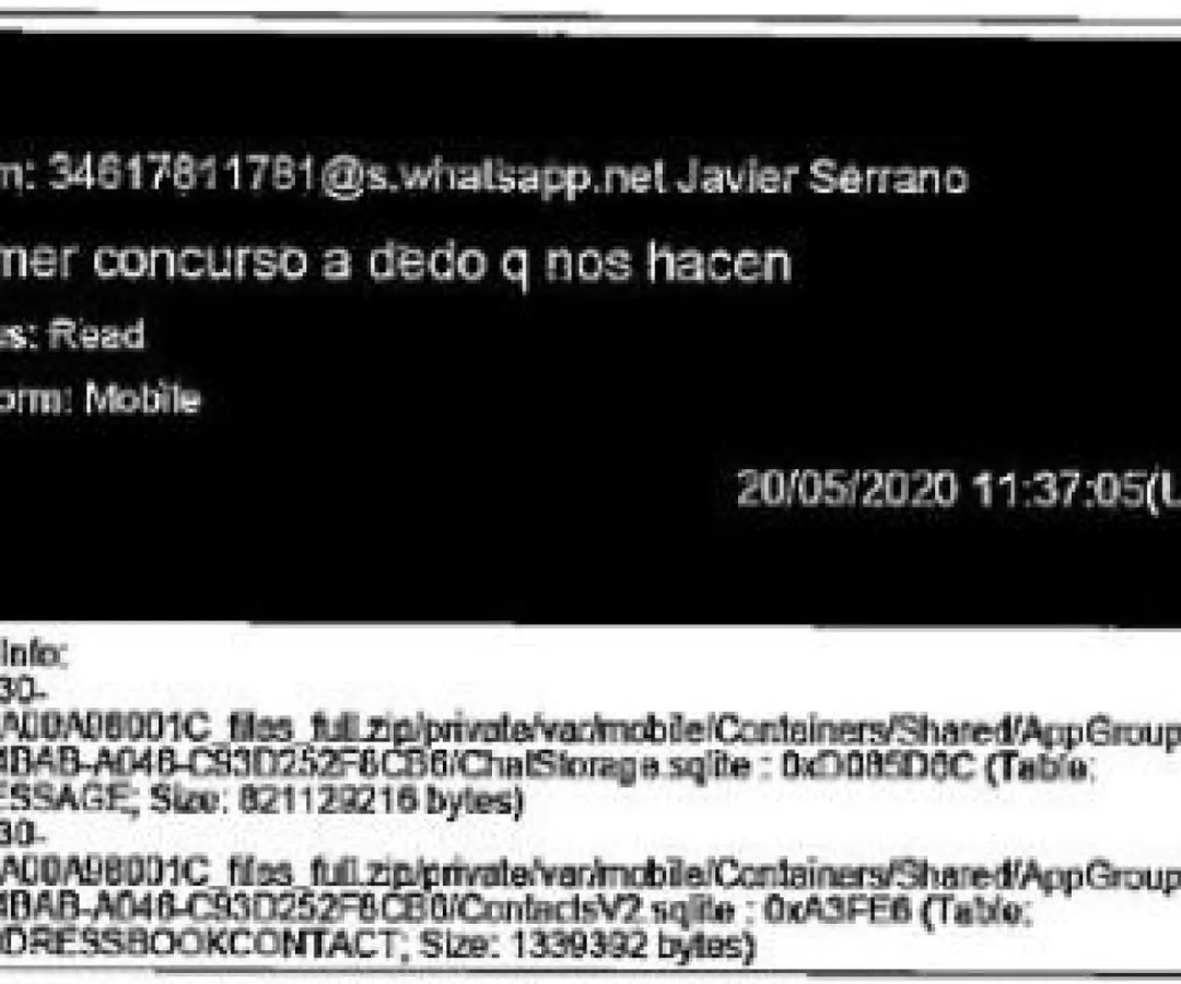 El mensaje de uno de los socios de Aldama, en el informe de la UCOSERVIMEDIA