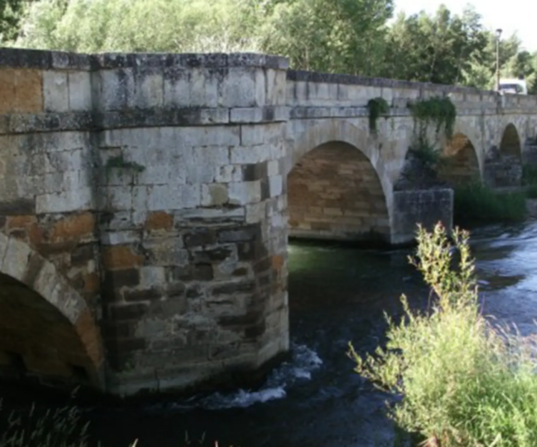 El cuerpo fue rescatado cerca del Puente Viejo, en la zona del parque Javier Cortés.AYUNTAMIENTO DE SALDAÑA