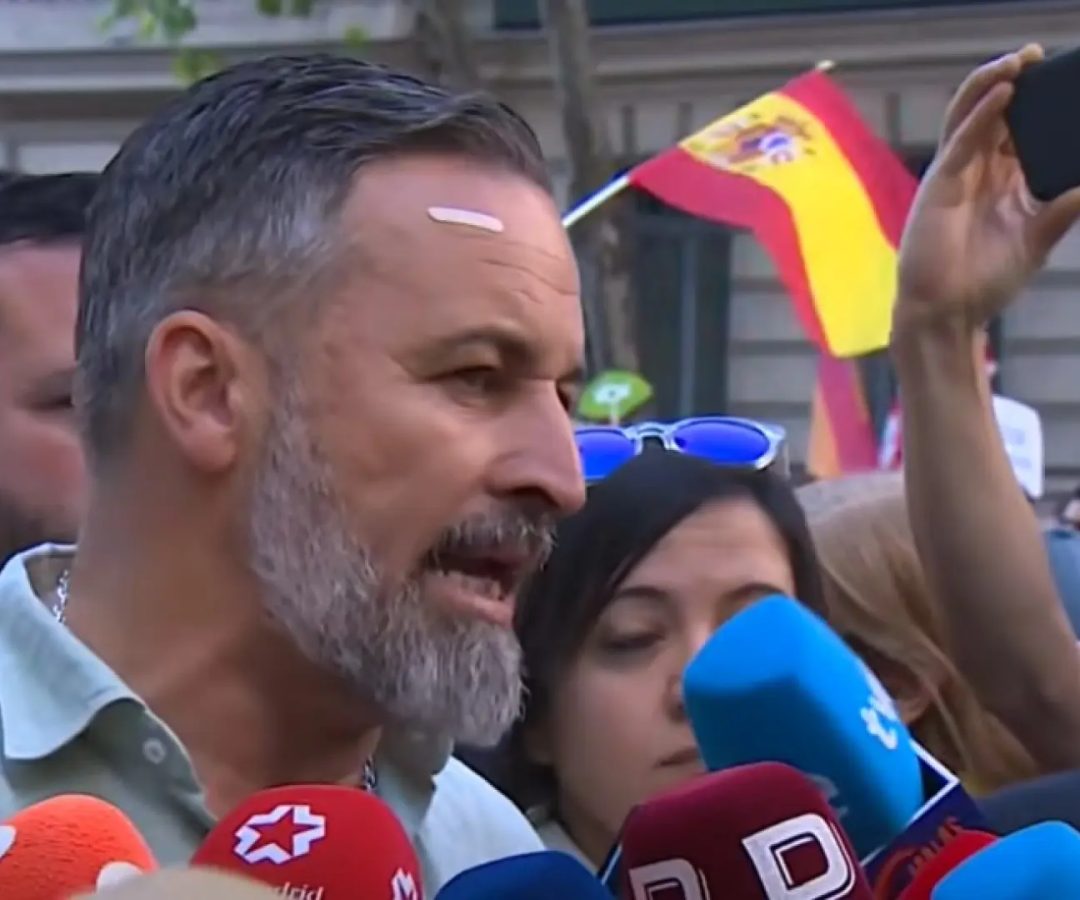 Santiago Abascal en la manifestación ciudadana contra los escándalos de corrupción que acechan al PSOE.RTVE