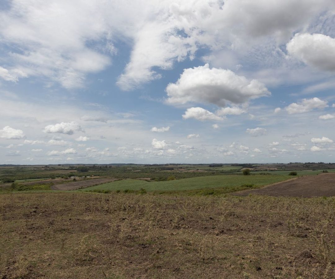 © Fábio Pozzebom/Agência Brasil