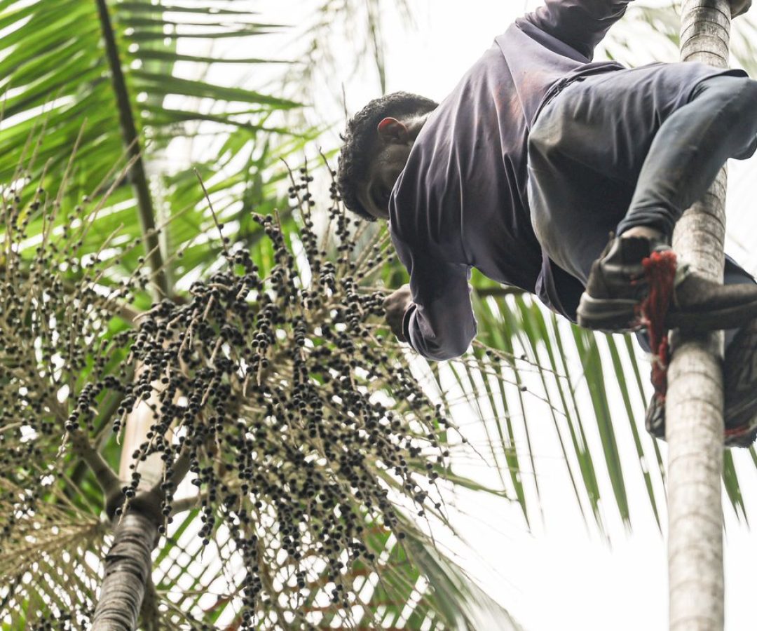 © Marcelo Camargo/Agência Brasil