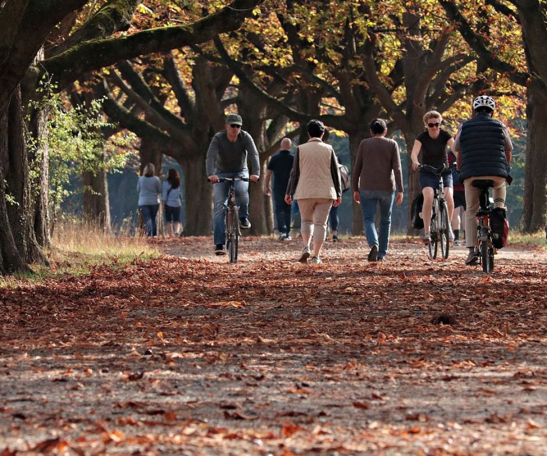 © Pixabay/Domínio Público