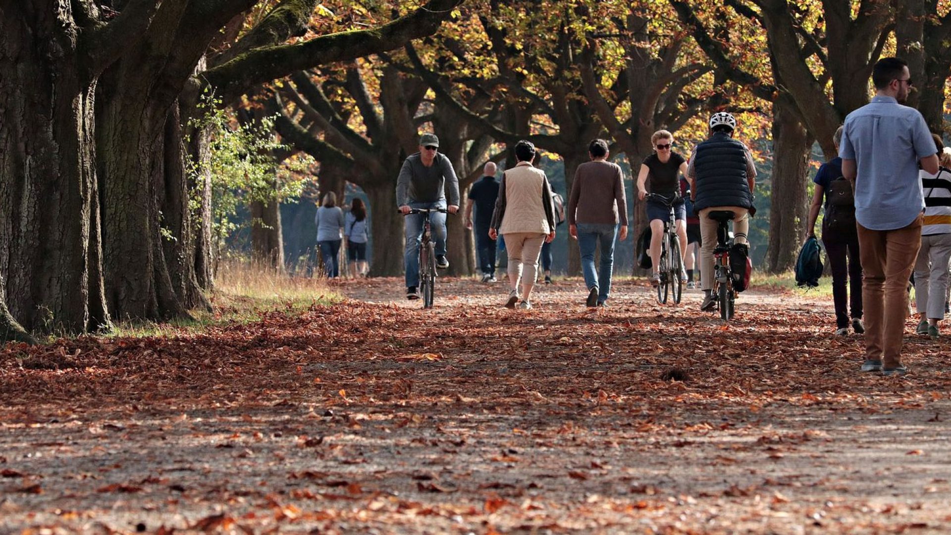 © Pixabay/Domínio Público