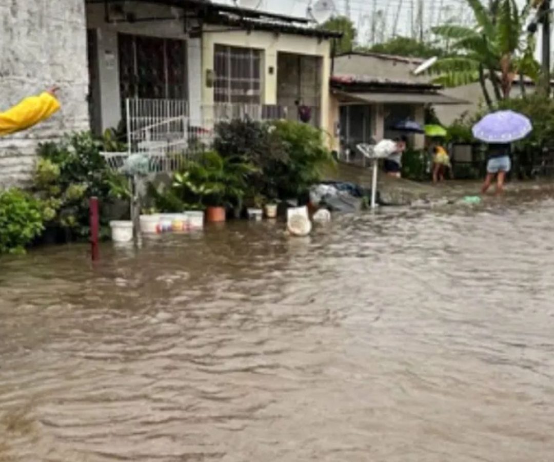 © Prefeitura Timbaúba