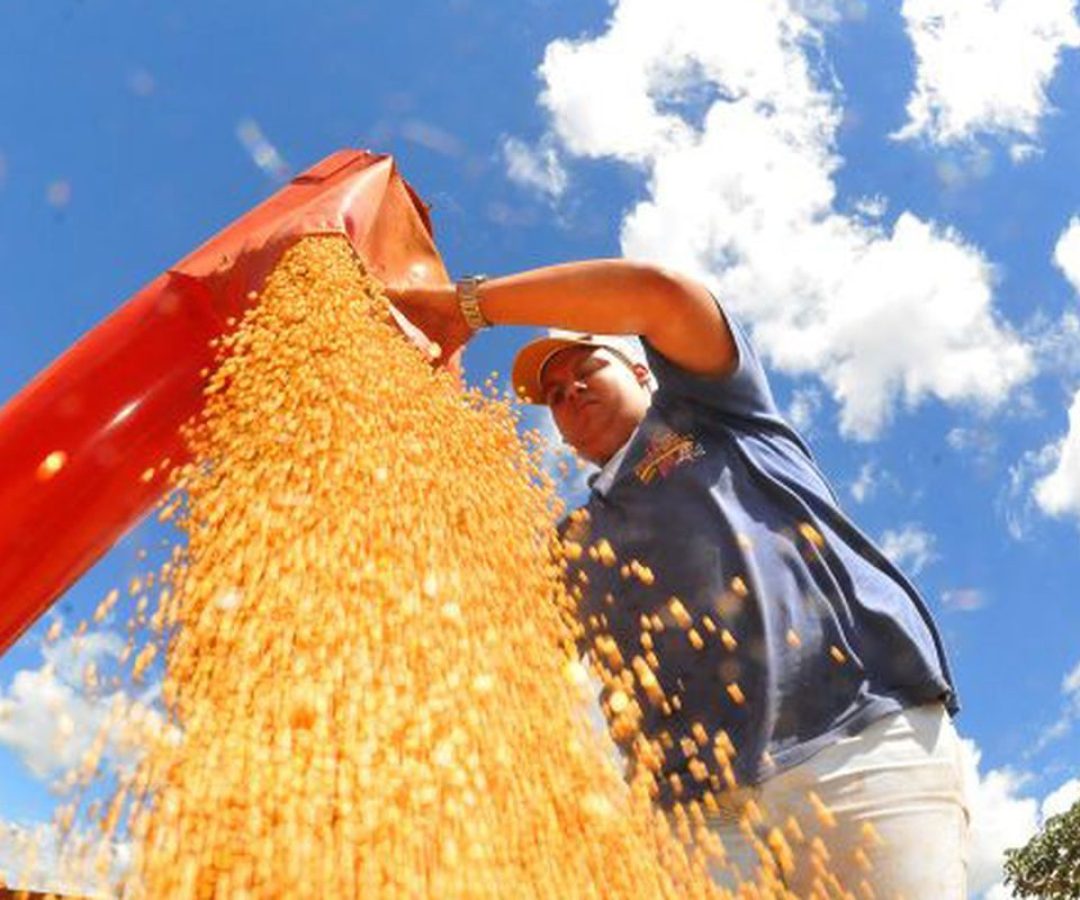 © Prefeitura de Campo Grande/Divulgação