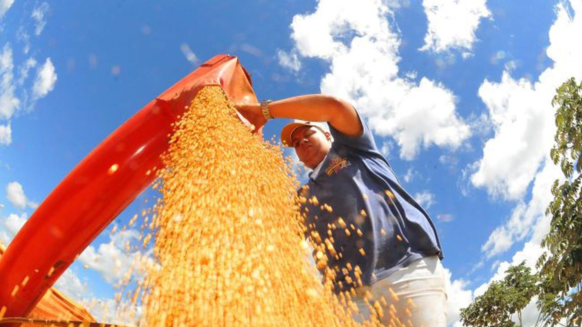 © Prefeitura de Campo Grande/Divulgação