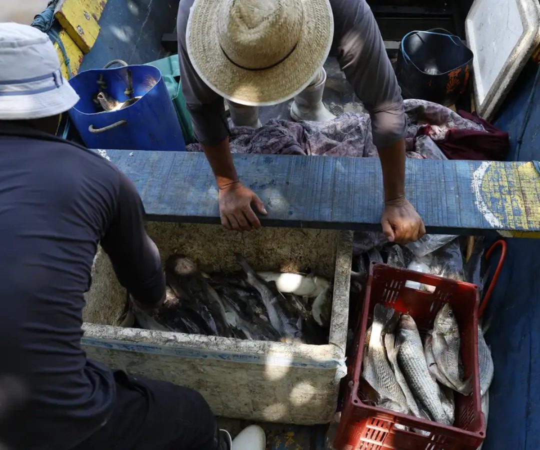 © Fernando Frazão/Agência Brasil