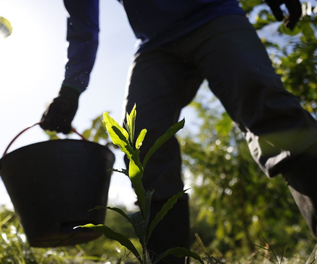 © Fernando Frazão/Agência Brasil