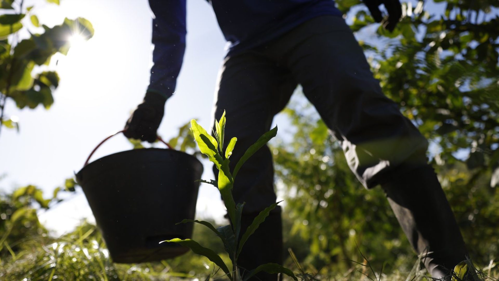 © Fernando Frazão/Agência Brasil