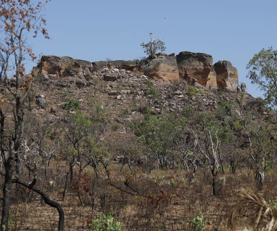 © Fernando Frazão/Agência Brasil