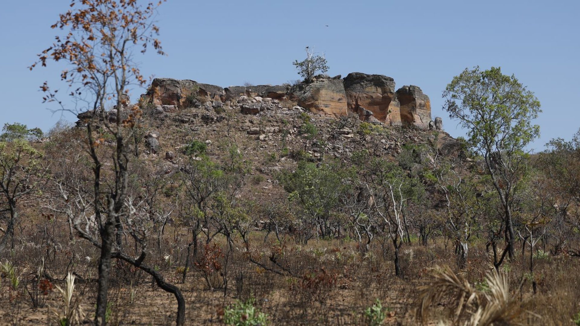 © Fernando Frazão/Agência Brasil