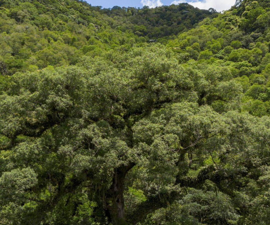 © Fernando Frazão/Agência Brasil