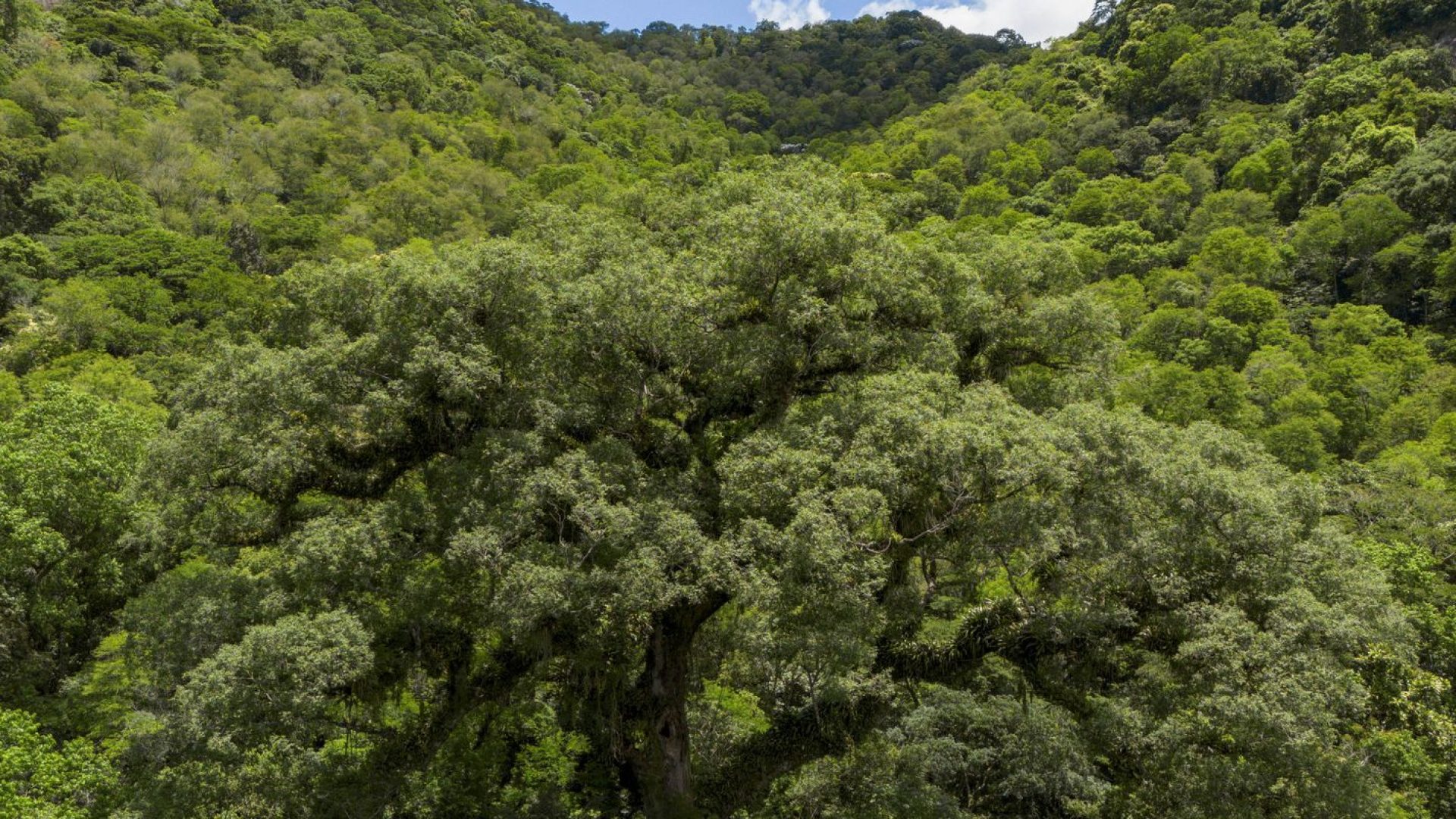 © Fernando Frazão/Agência Brasil
