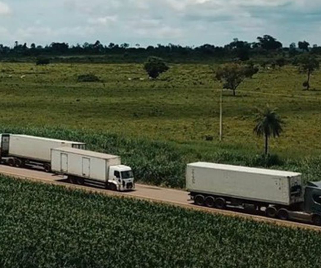 © Vinicius Trindade/MT