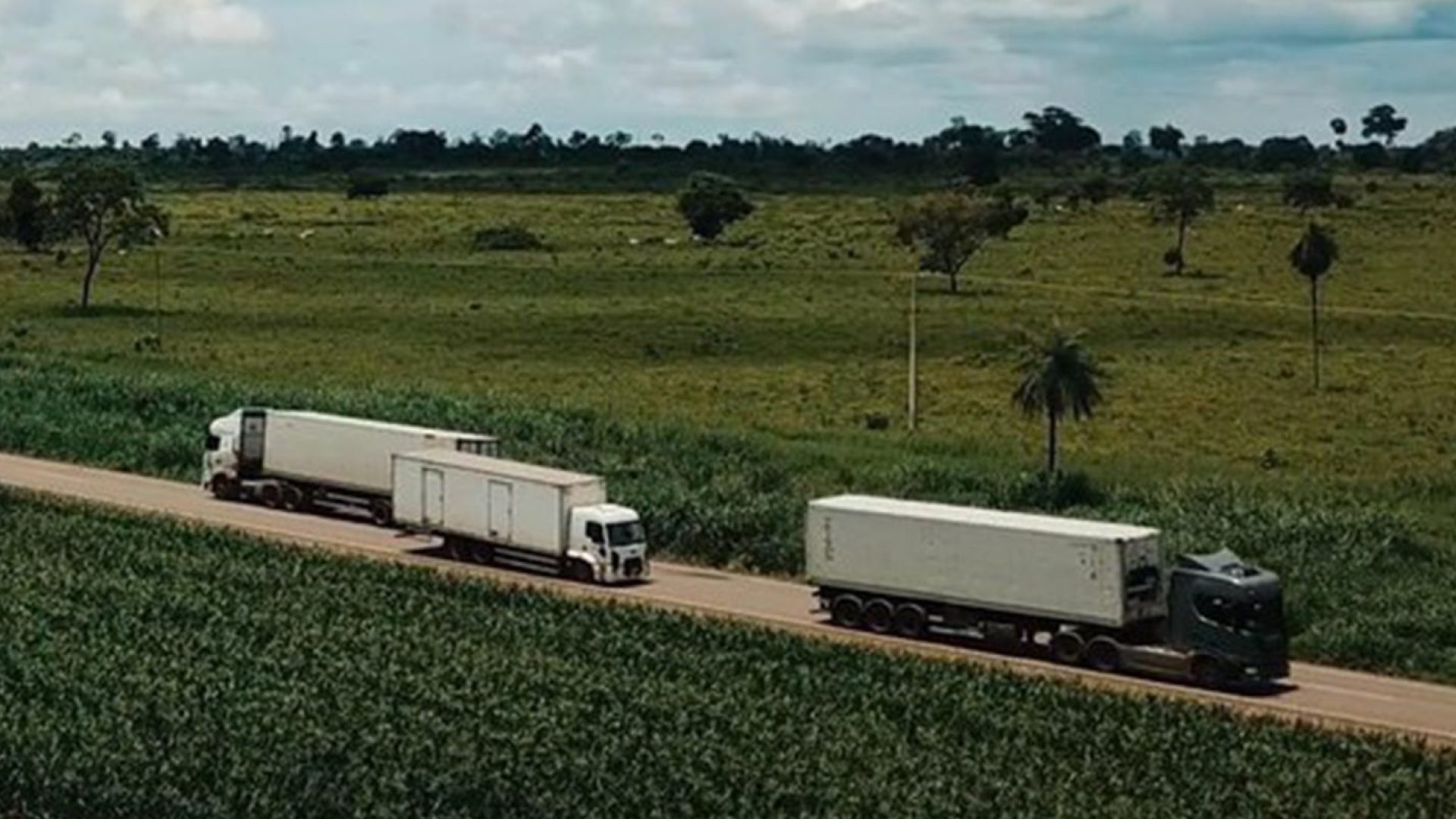 © Vinicius Trindade/MT