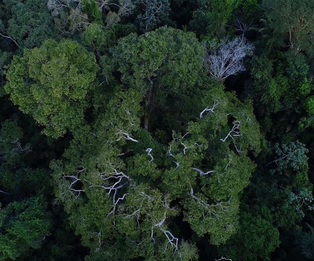 © Divulgação TV Brasil