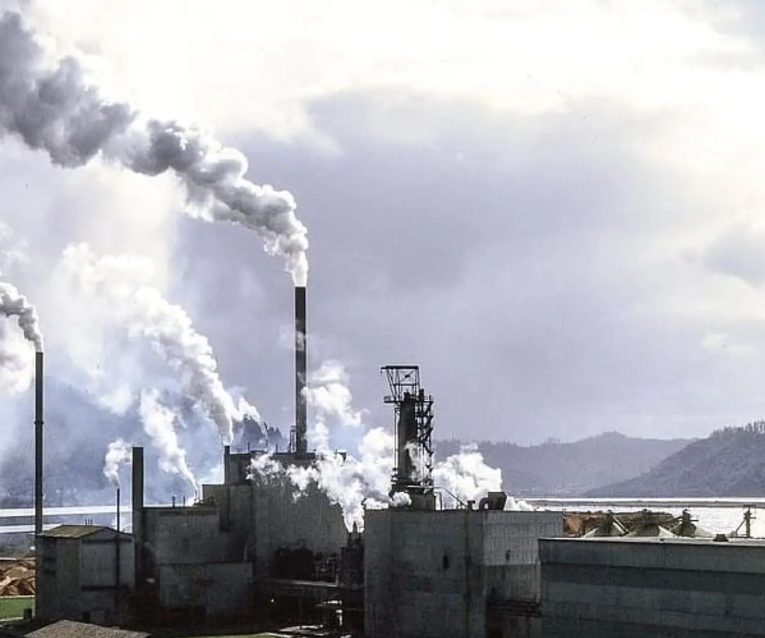 dhhathhsEuropa Press