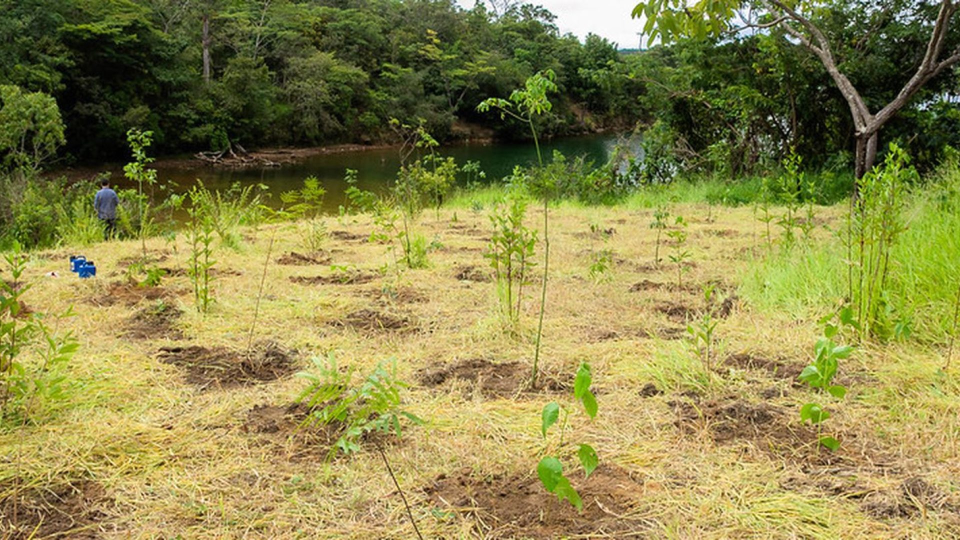 © João Risi/Seagri-DF