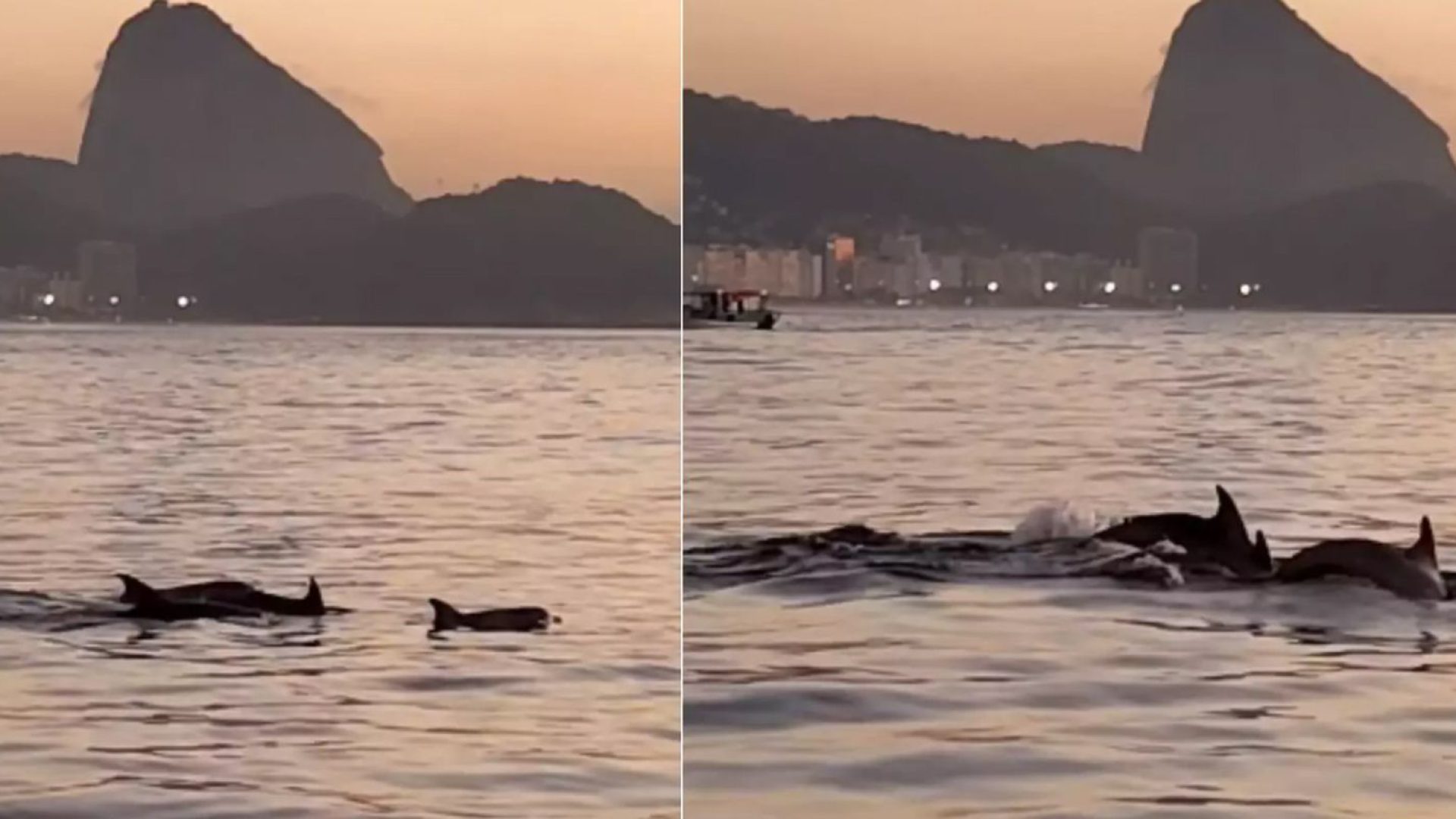 © Frame Gabriel Klabin