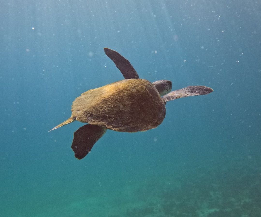 © Fernando Frazão/Agência Brasil