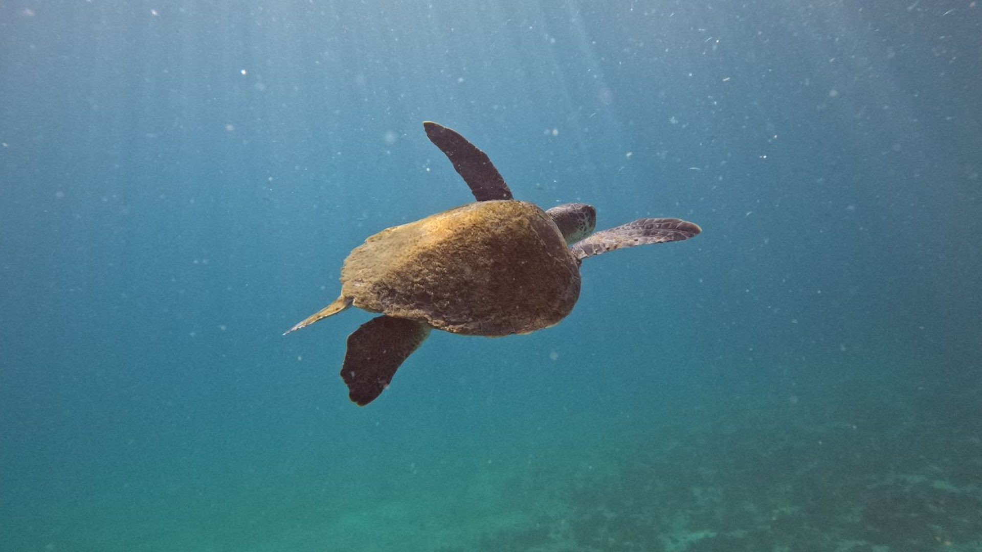 © Fernando Frazão/Agência Brasil