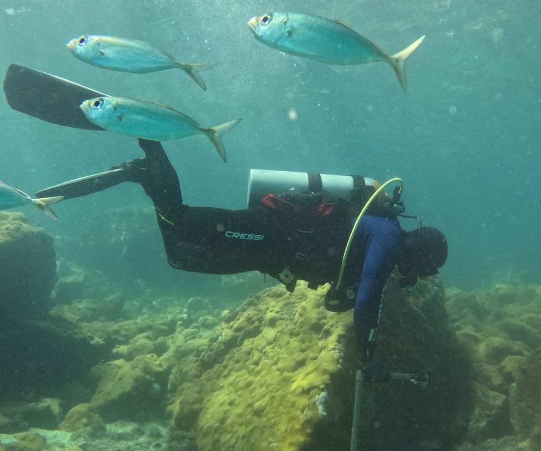 © Fernando Frazão/Agência Brasil