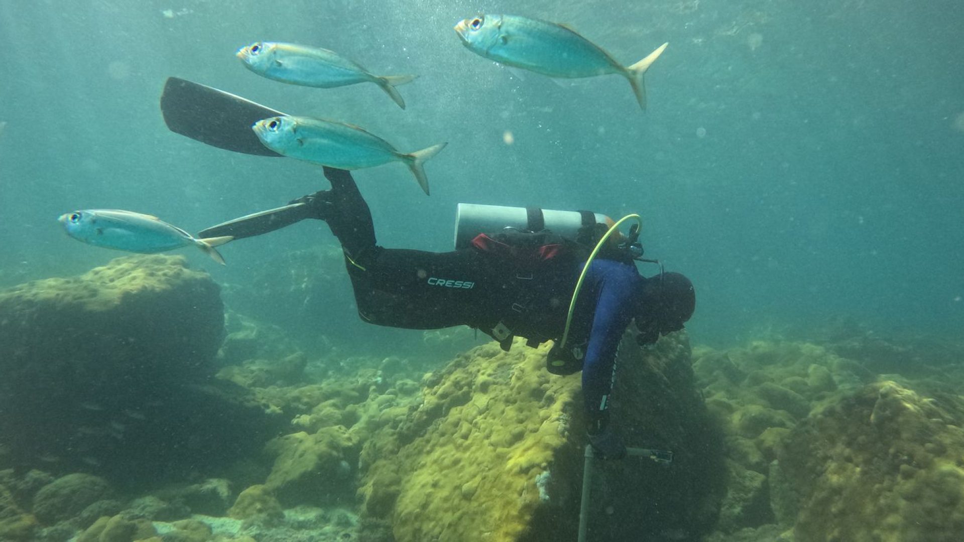 © Fernando Frazão/Agência Brasil