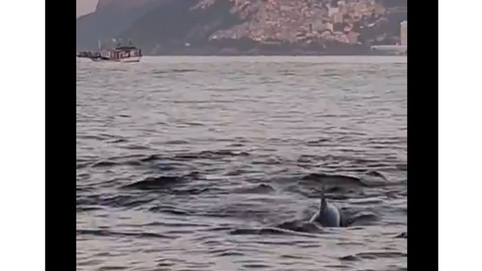 © Frame Gabriel Klabin