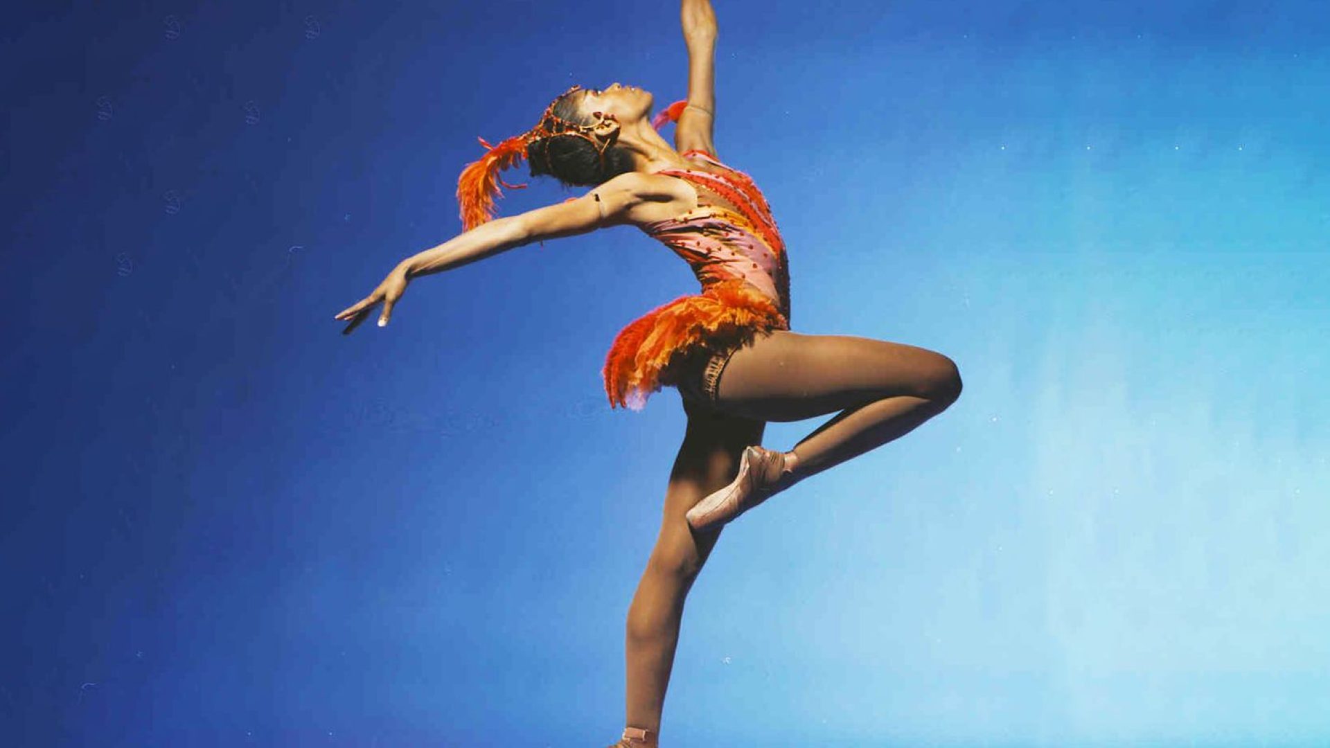 © Eduardo Patino/Divulgação