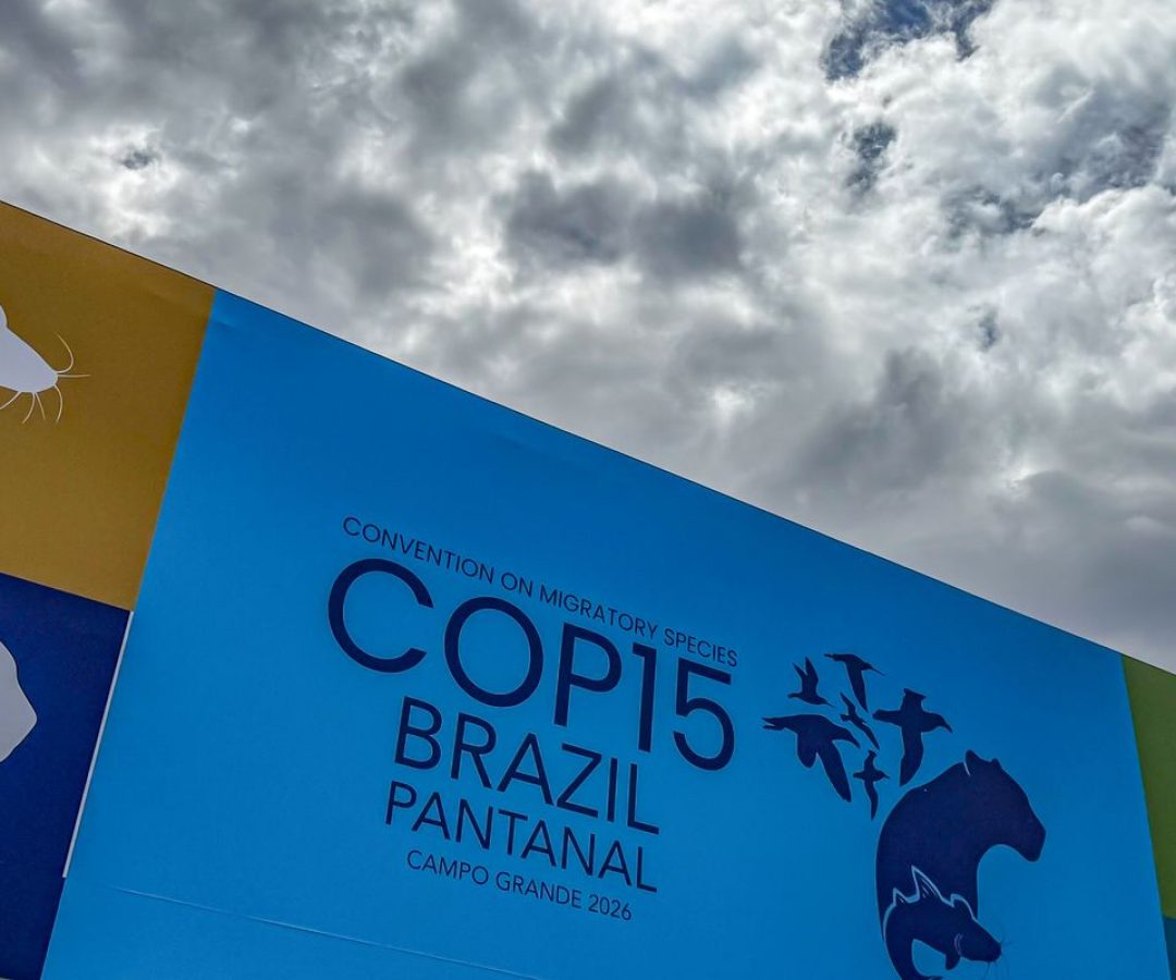 © Rafa Neddermeyer/Agência Brasil