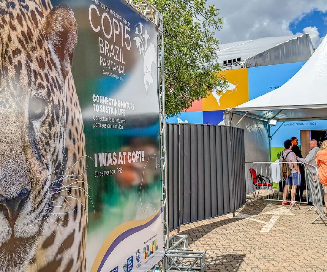 © Rafa Neddermeyer/Agência Brasil