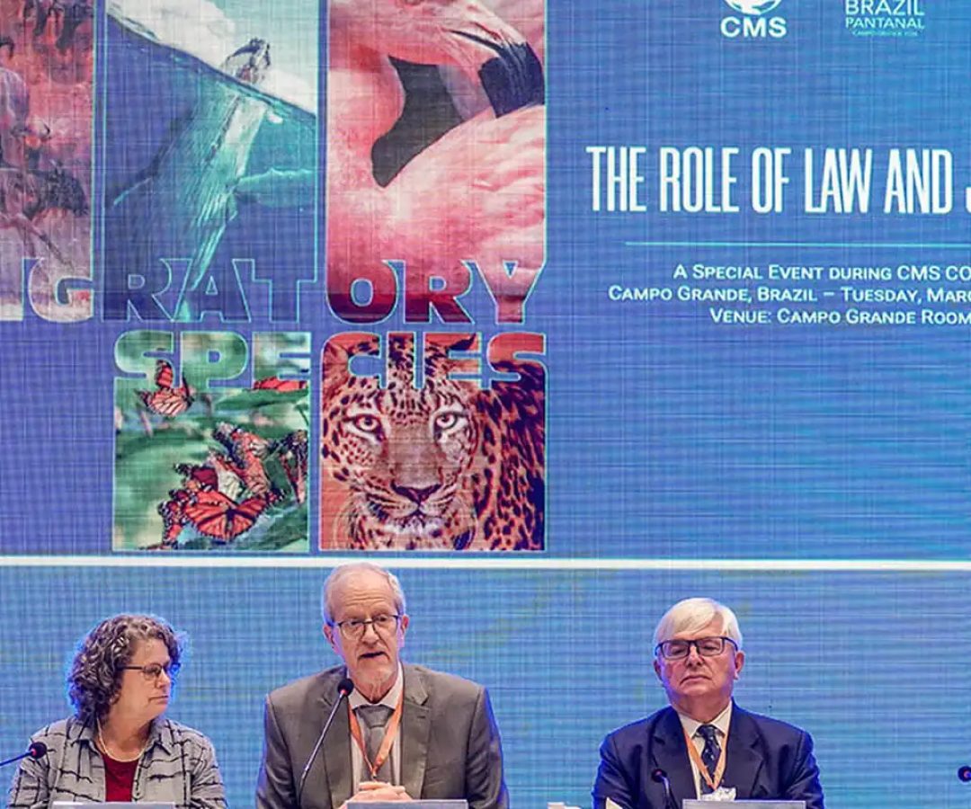 © Rafa Neddermeyer/Agência Brasil